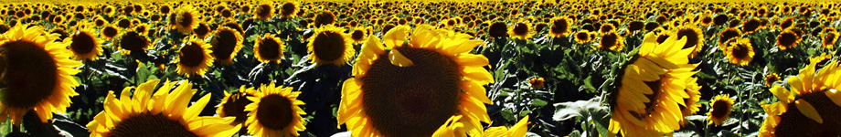 AndyBox.com Rotating Header Image